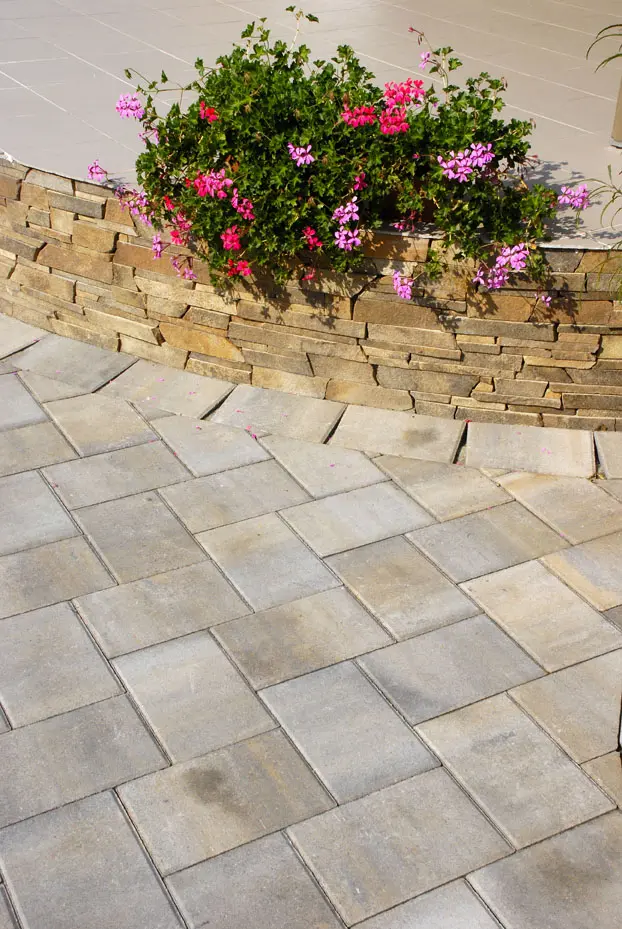 Terrace with planted wall